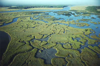 Parque Nacional Everglades