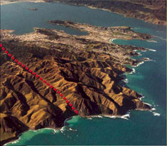 wellington