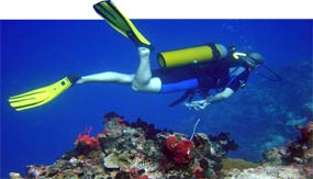LA GRAN BARRERA DE CORAL