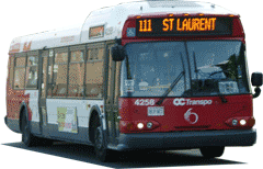 Ottawa Bus