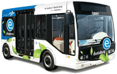 Ecolobus