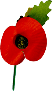 amapola