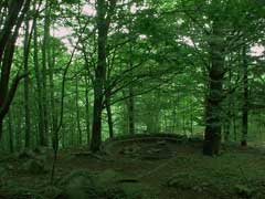 Montseny