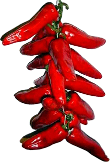 burdeos_pimiento