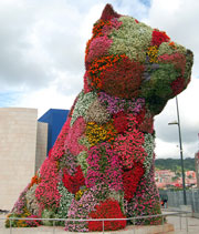 perro Guggenheim