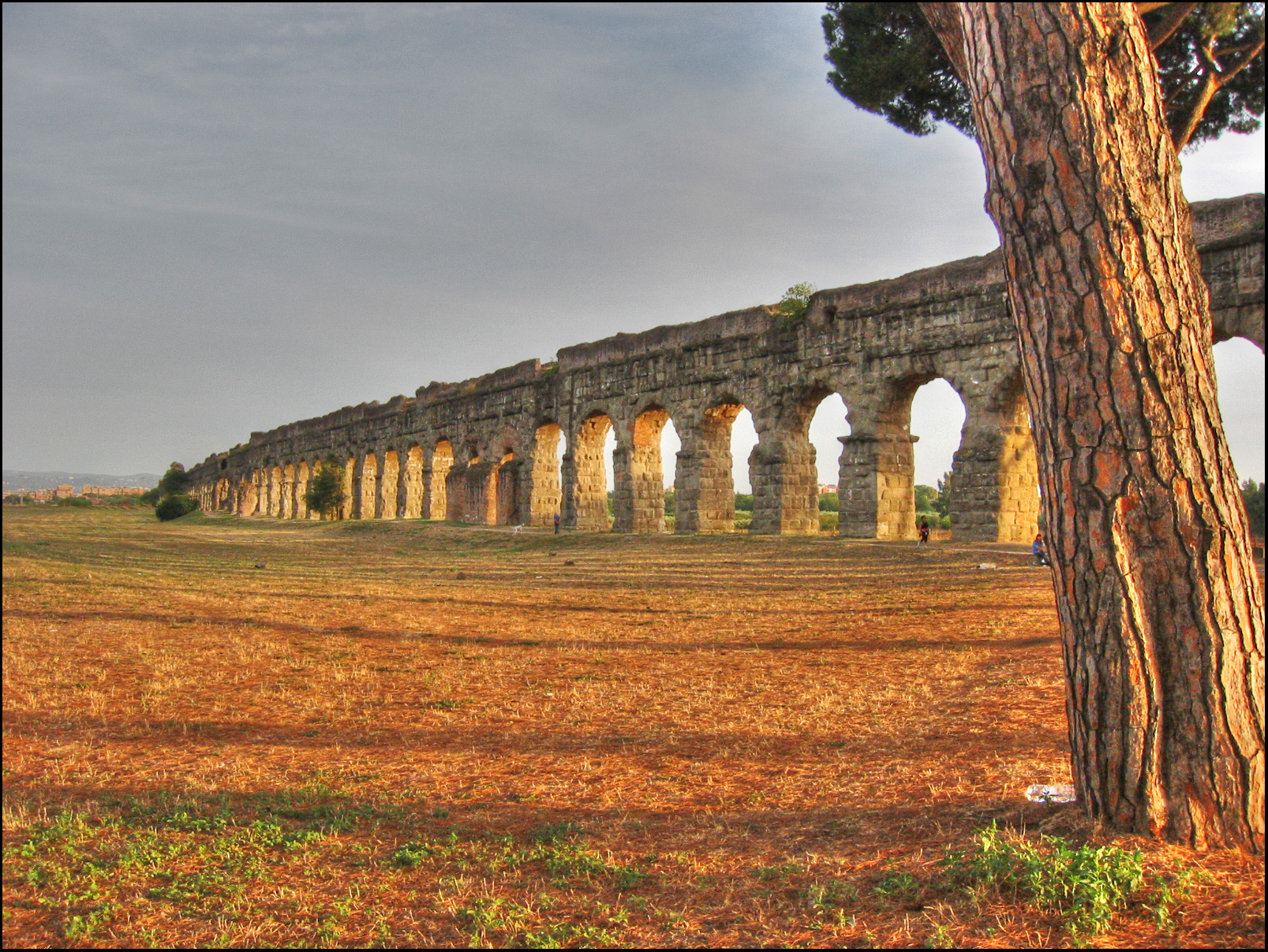 roma roma