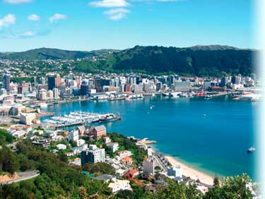 wellington wellington