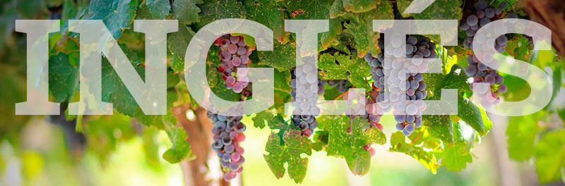 Clases de inglés en La Rioja