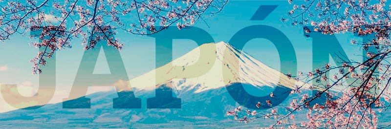 cursos de japonés en Japón