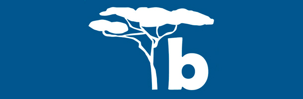 Descubre con qué aplicaciones para aprender idiomas desde tu móvil