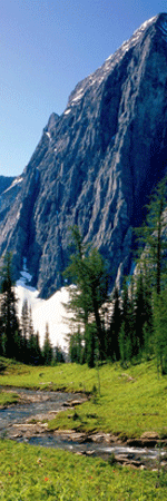 El francés que se habla en Canadá es mucho más conservador que el de Francia