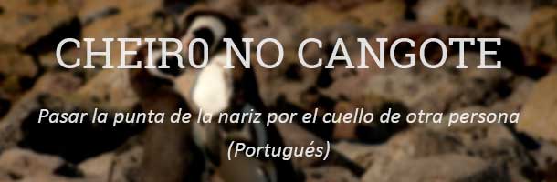 Si hablamos de amor en varios idiomas hablemos del portugués