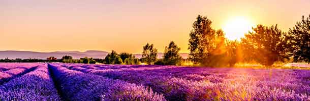 Que no te falte vocabulario en francés con el que hacer preguntas