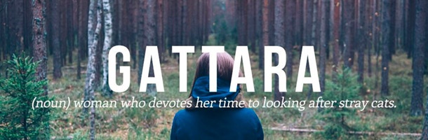 Gattara es de esas palabras más bonitas del italiano que debían estar