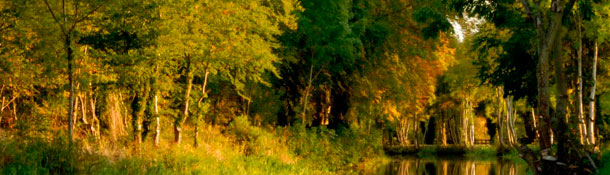 Dentro de los mejores pueblos de Irlanda para estudiar no podía faltar Naas