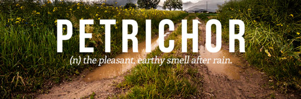 Dentro de las palabras más bonitas del inglés vemos a Petrichor