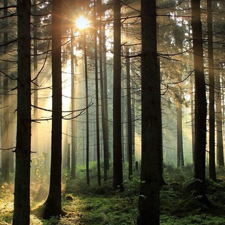 Algunas de las palabras más raras del alemán tienen significados sorprendentes