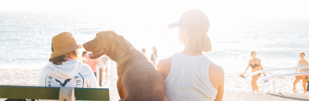 Atento a estos acentos del inglés que debes conocer