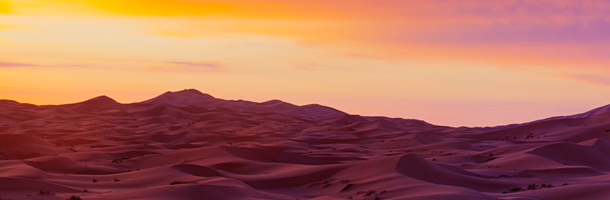 Unas cuantas curiosidades del árabe que debes conocer