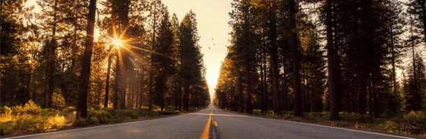 Todo lo que necesitas saber sobre estas becas en California en este artículo