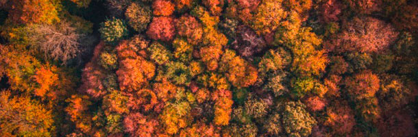 Apúntate a estas becas de francés en Bélgica a través del presente artículo