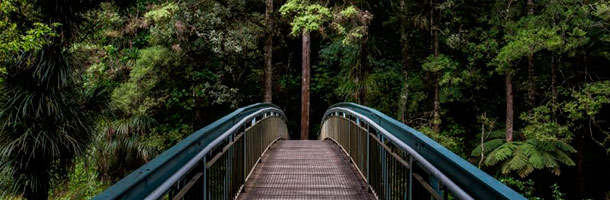 Las becas La Caixa son de las más cotizadas
