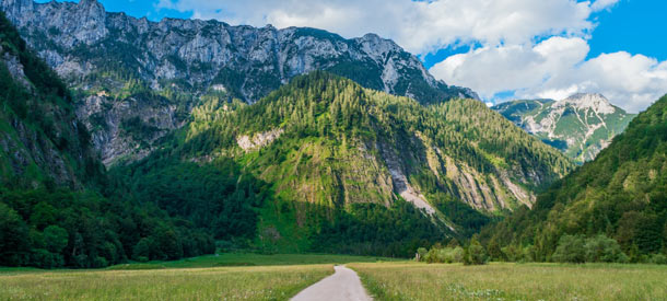 Las nuevas becas de prácticas en el Centro Europeo de Lenguas Modernas que has de conocer