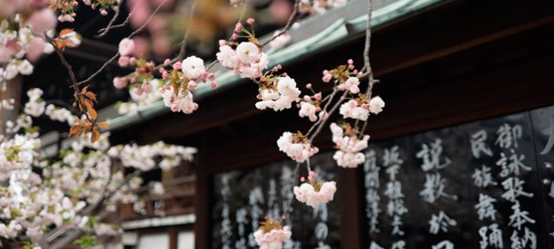 Una serie de becas en Japón  para proyectos de investigación