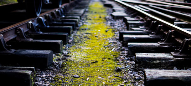 Toma nota de estas becas para viajar por Europa imprescindibles