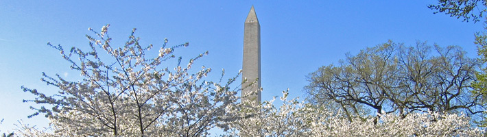 Con estas becas para trabajar en Washington podrás viajar a Estados Unidos