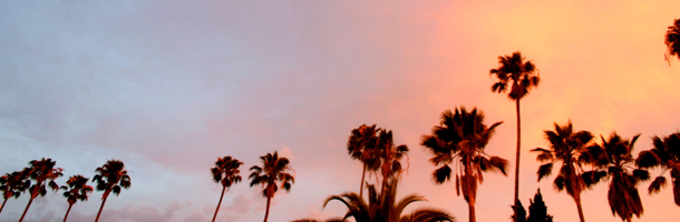 Con estas prácticas en Los Ángeles podrás mejorar también tu inglés