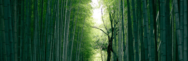 Los meses en japonés no son difíciles de aprender