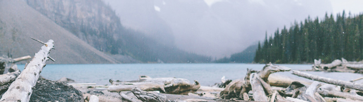 Son muchos los paisajes que uno puede ver ya sea en Canadá o Estados Unidos