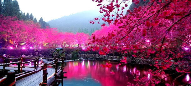 La lengua japonesa esconde muchos secretos