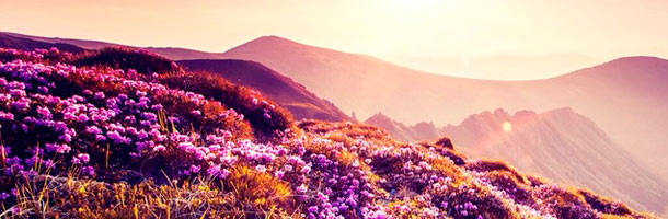 A pesar de ser refranes del ruso se utilizan en todo el mundo