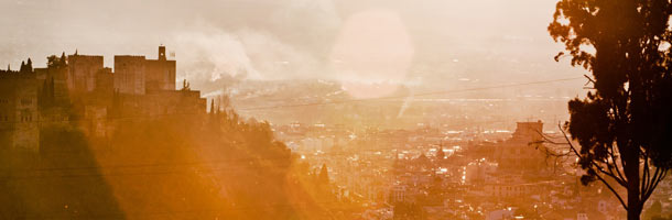 Dentro de los idiomas más hablados está el español