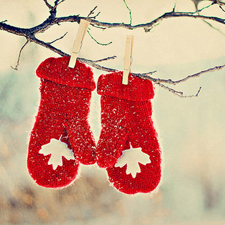 Entre las muchas curiosidades del idioma francés está su presencia internacional