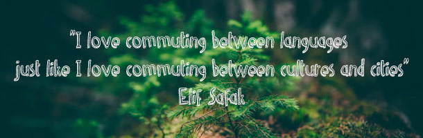 También hay frases cortas para instagram relacionadas con idiomas