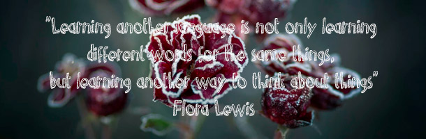 Sirven también como frases para facebook