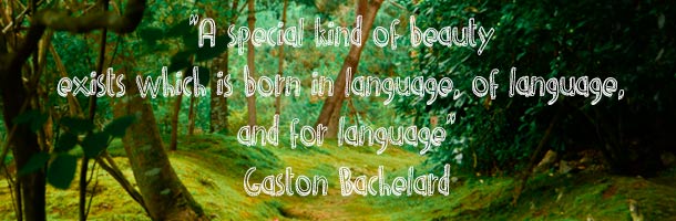 Hay frases para instagram cortas y largas