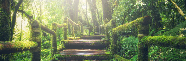 Descubre dónde se habla menos inglés en el mundo