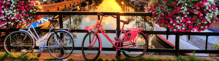 Una serie de becas para estudiar en Holanda que seguro te interesan