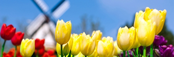 Que sean los países más extraños donde estudiar inglés no implica que sean peores a los demás