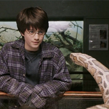 El pársel es uno más de los idiomas ficticios de esta lista