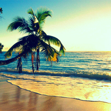 Uno de los países más extraños donde aprender inglés es Hawái