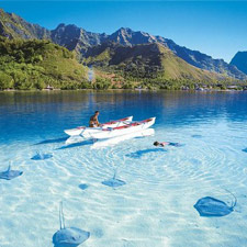 En octavo lugar de los idiomas más fáciles del planeta se encuentra el criollo haitiano