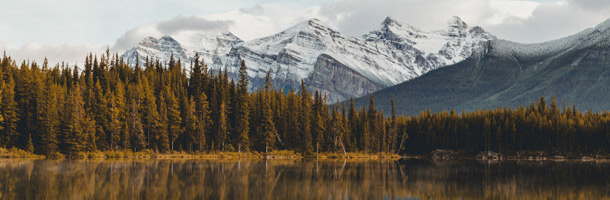 Unas cuantas frases en inglés para mostrarte cortés