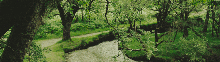 Las ventajas de aprender inglés en Irlanda o Reino Unido