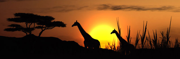 Entre los idiomas más raros del mundo hay muchos de origen africano