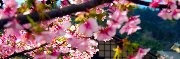 Viajar, trabajar, descubrir nuevas culturas... Son muchas las razones por las que aprender japonés